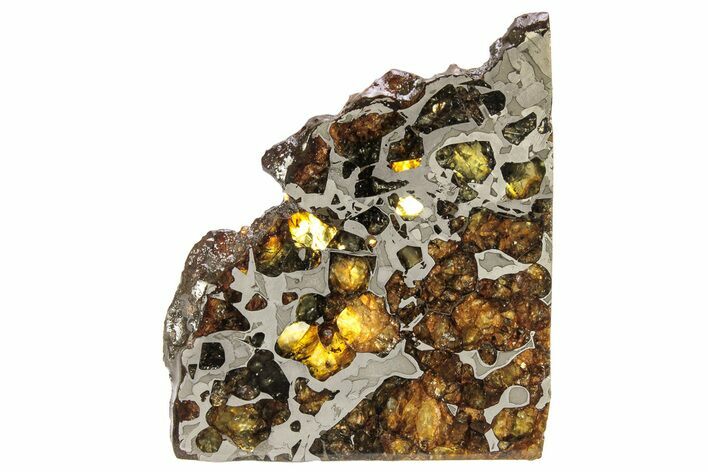 Seymchan Pallasite Meteorite Slice ( g) - Russia #305578